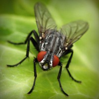 /album/zateplovanie-bazi/photolia-a01-jpg/