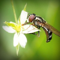 /album/zateplovanie-bazi/photolia-a02-jpg/