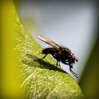 /album/zateplovanie-bazi/photolia-a04-jpg/
