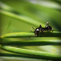 /album/zateplovanie-bazi/photolia-a05-jpg/