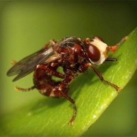 /album/zateplovanie-bazi/photolia-a06-jpg/