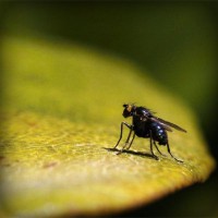 /album/zateplovanie-bazi/photolia-a07-jpg/