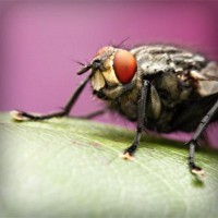 /album/zateplovanie-bazi/photolia-a08-jpg/